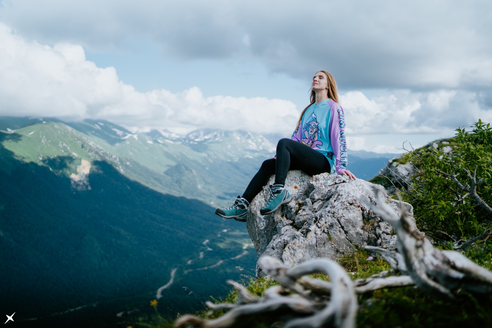 Черногор -550